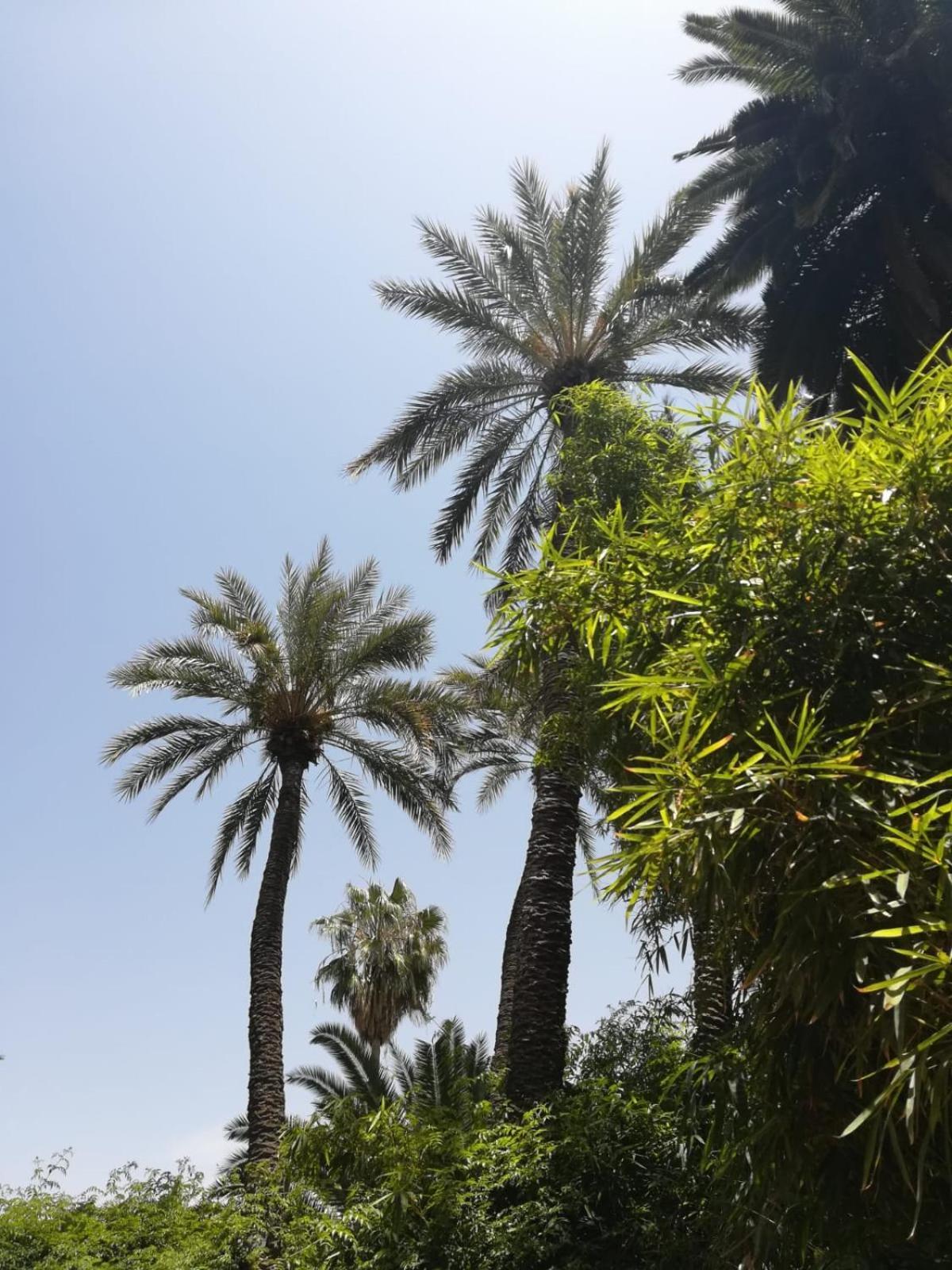 Riad Lalla Aicha-Qariya Siyahia Marrakech Marrakesh Eksteriør billede